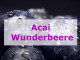 Acai Berry Extreme was steckt in den Wunderbeeren ?