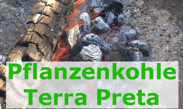 Terra-Preta-schwarze Wunderkohle für den Garten